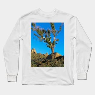 Ridge after Fire Long Sleeve T-Shirt